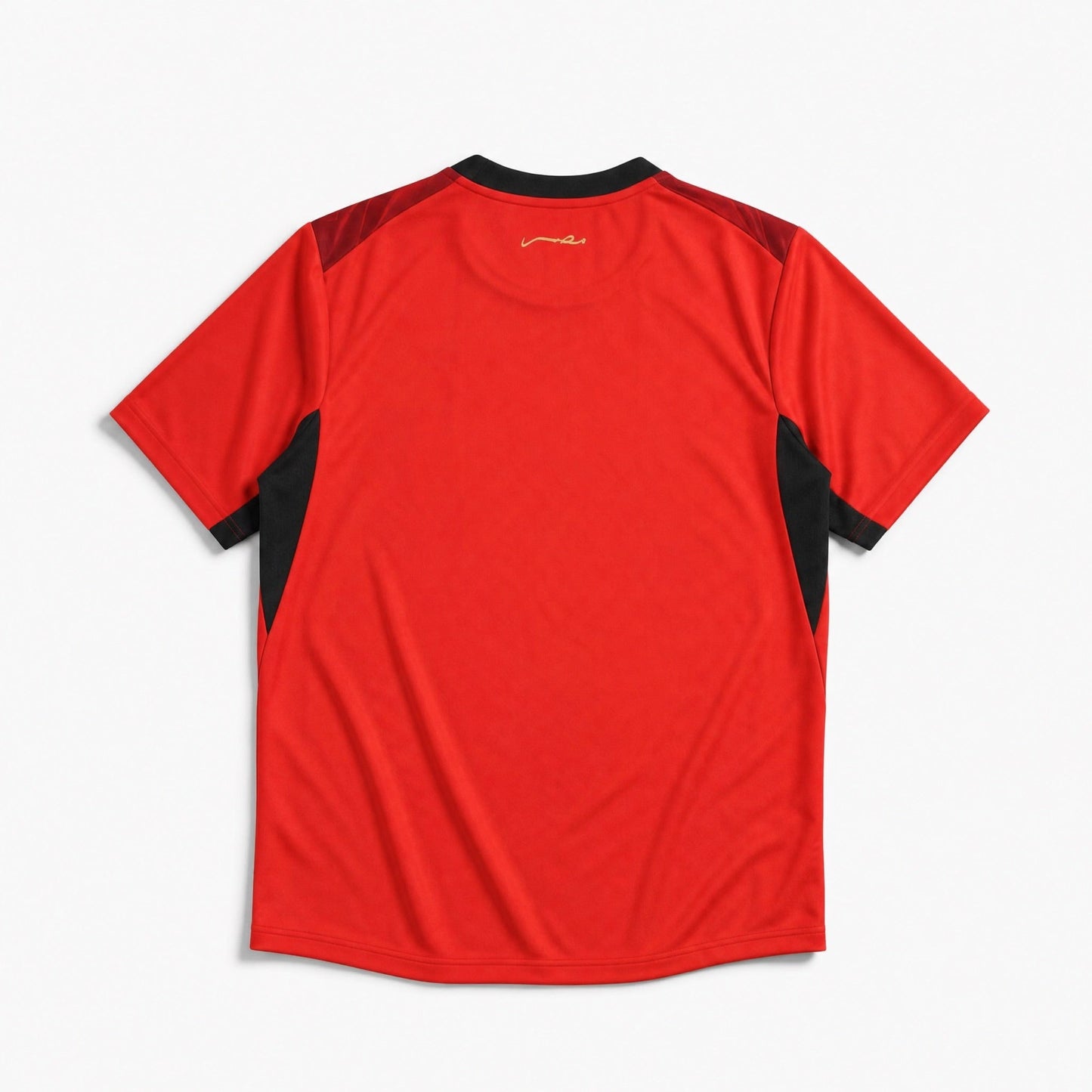 Égypte Maillot Domicile 2026 Coupe du Monde – vue 2